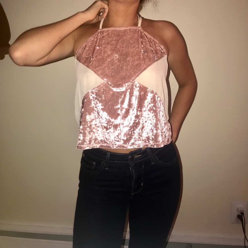 Pink Velvet and Mesh Tobi Top! Never worn!